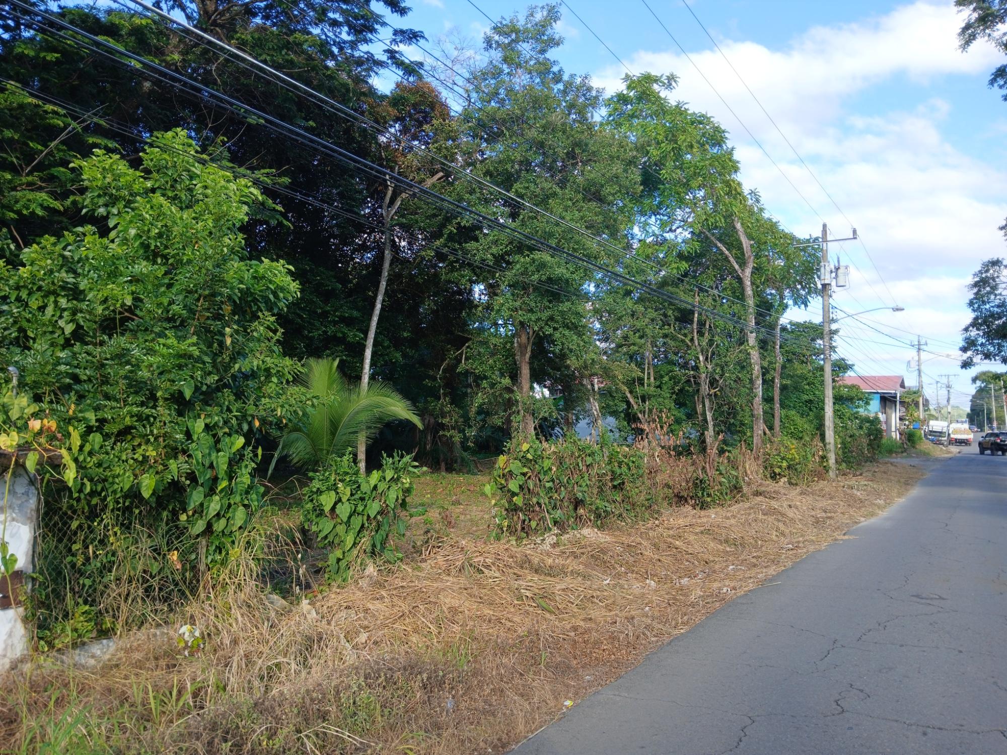 Listing Photo 13