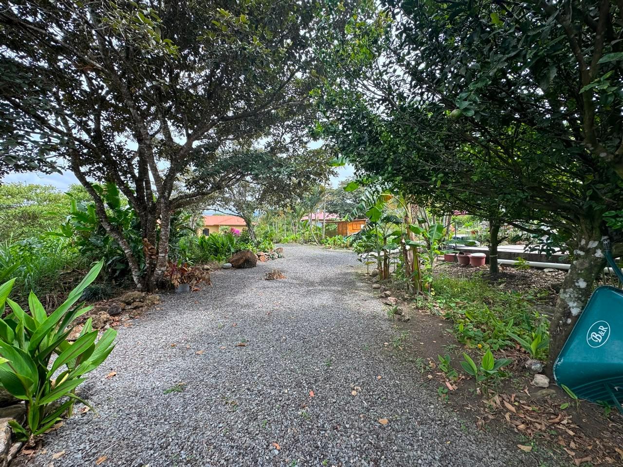 Listing Photo 12