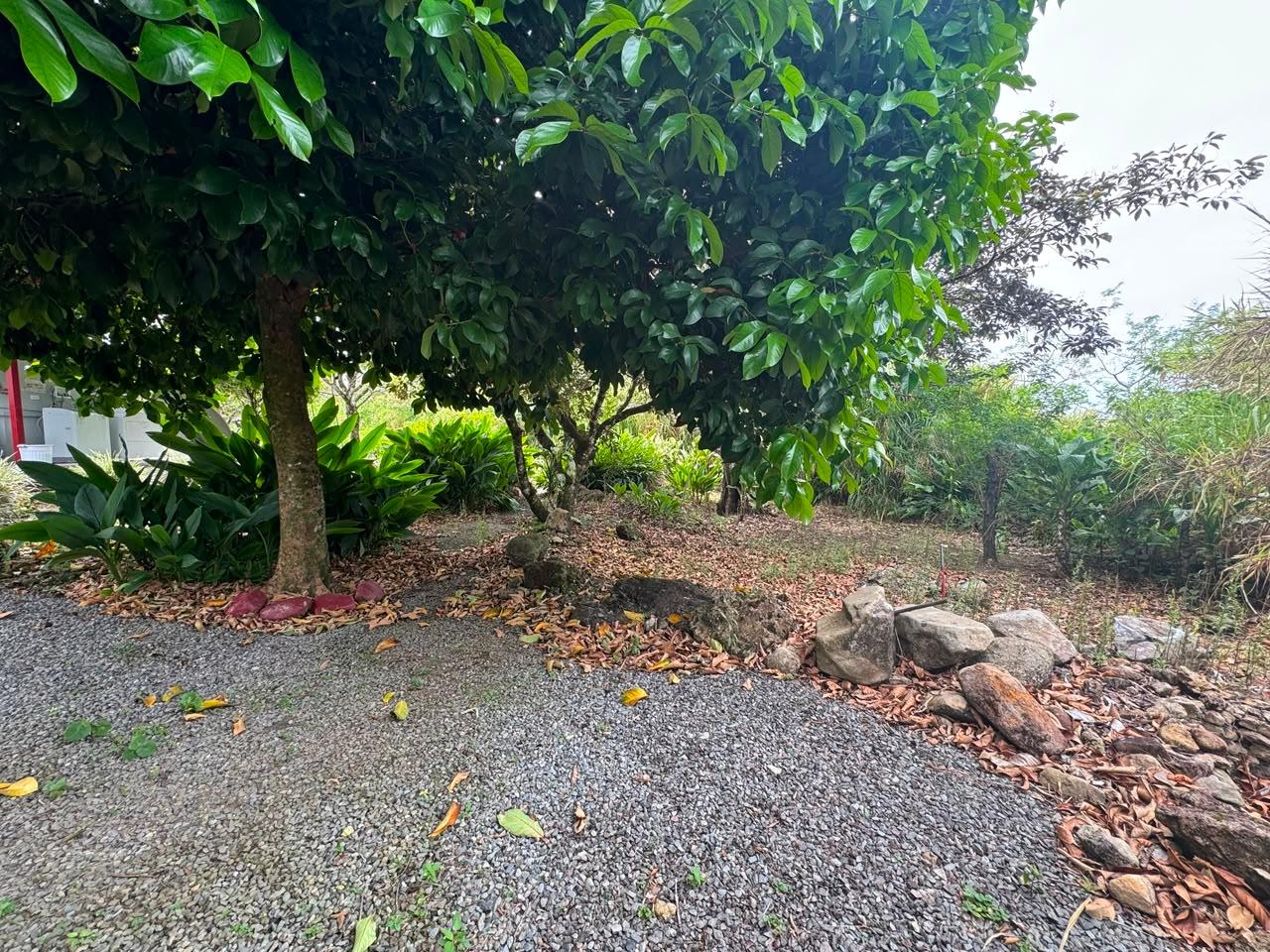 Listing Photo 14