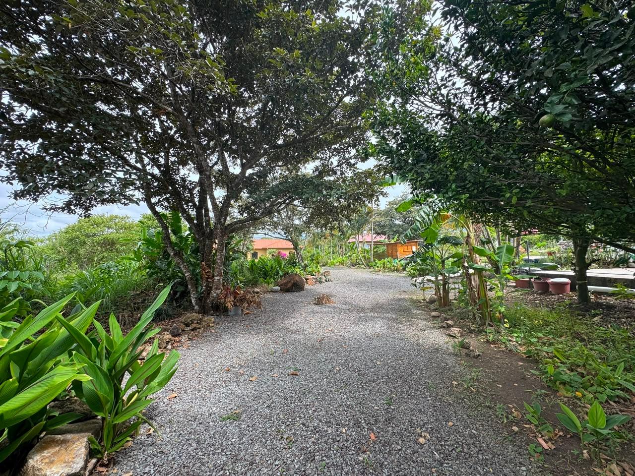 Listing Photo 24