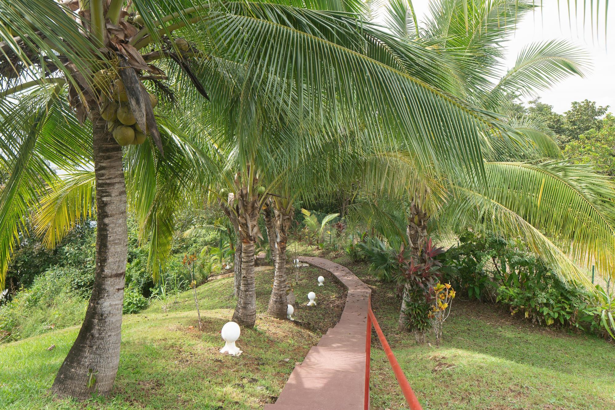 Listing Photo 43