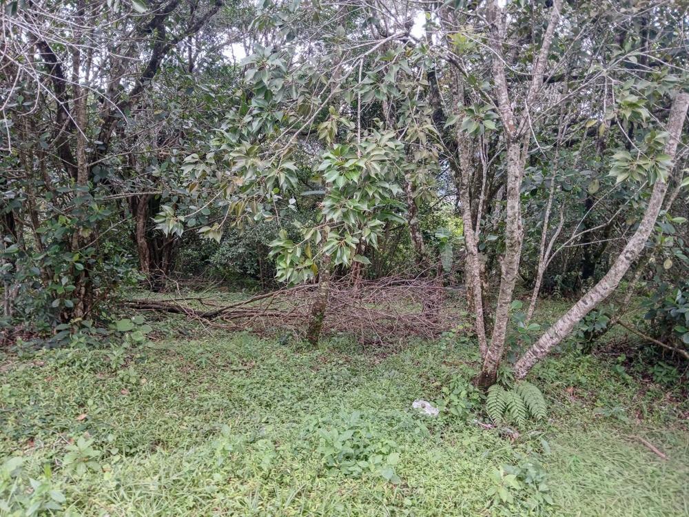 Listing Photo 9