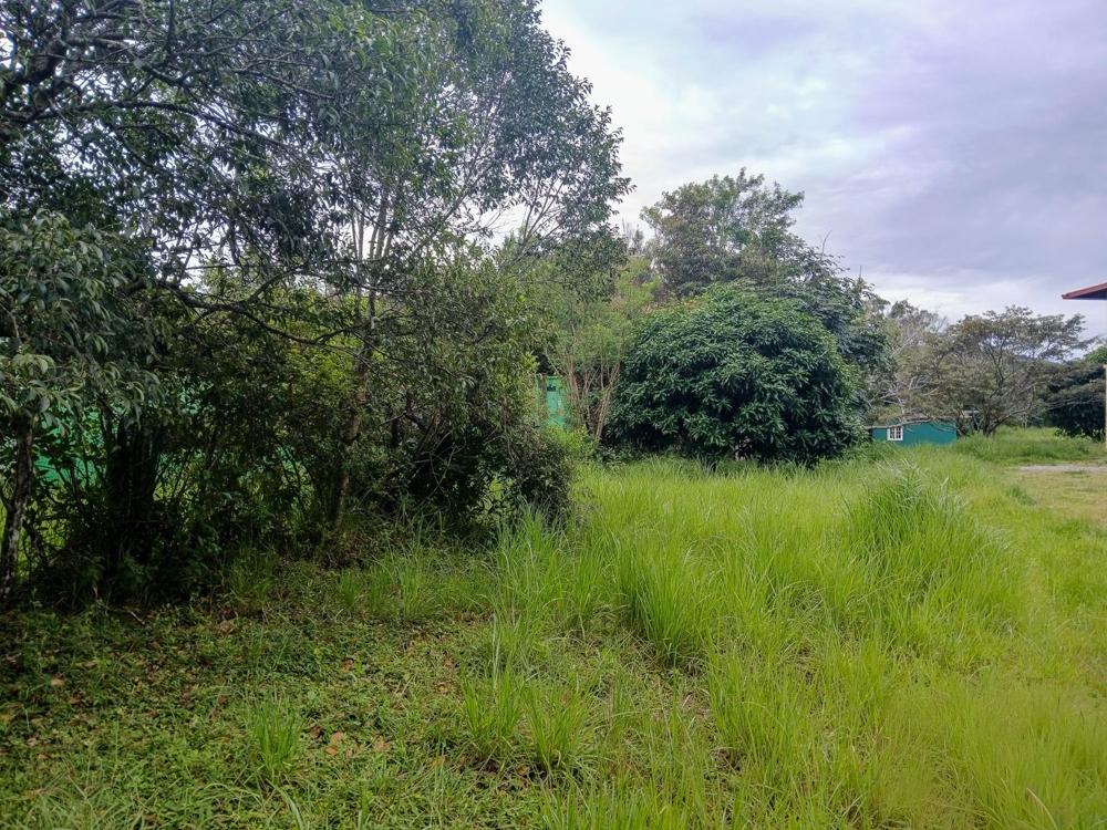 Listing Photo 12