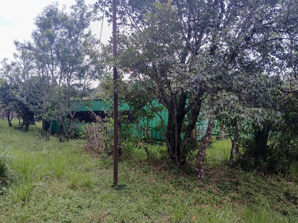 Listing Photo 13