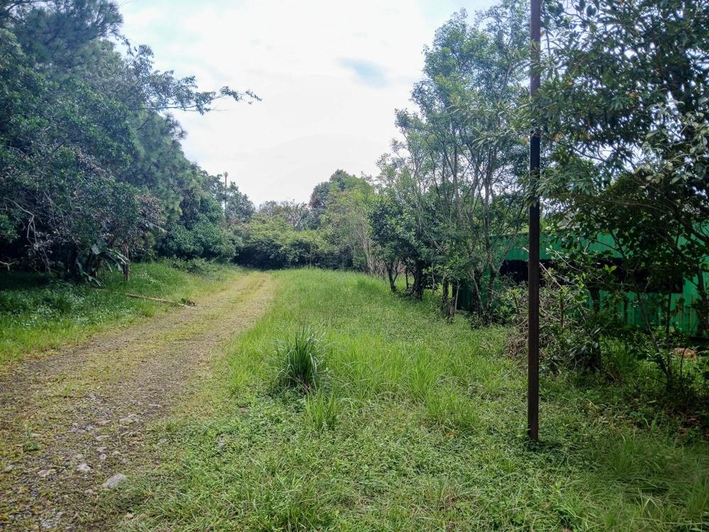Listing Photo 14