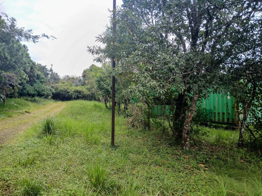 Listing Photo 17