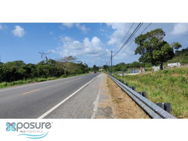 Terreno en Venta - Guanica