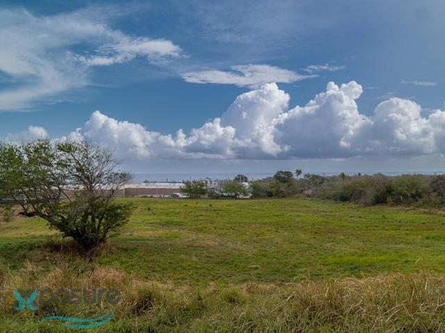Terreno en Venta - Carrizales