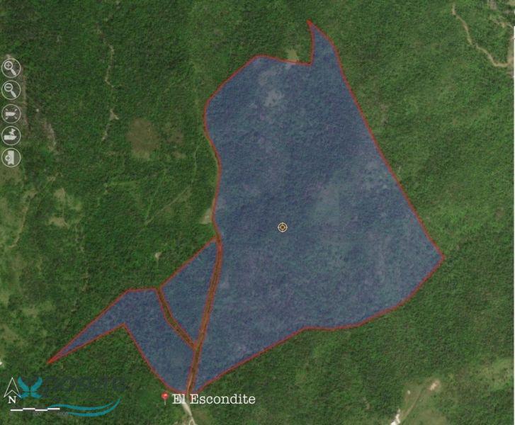 Terreno en Venta - Cayey