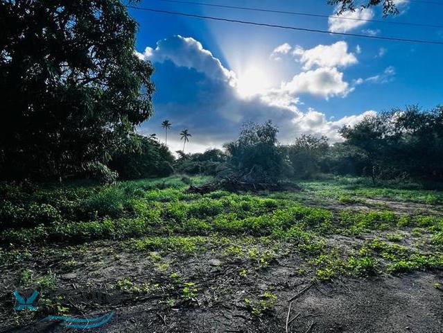 Terreno en Venta - Isabela