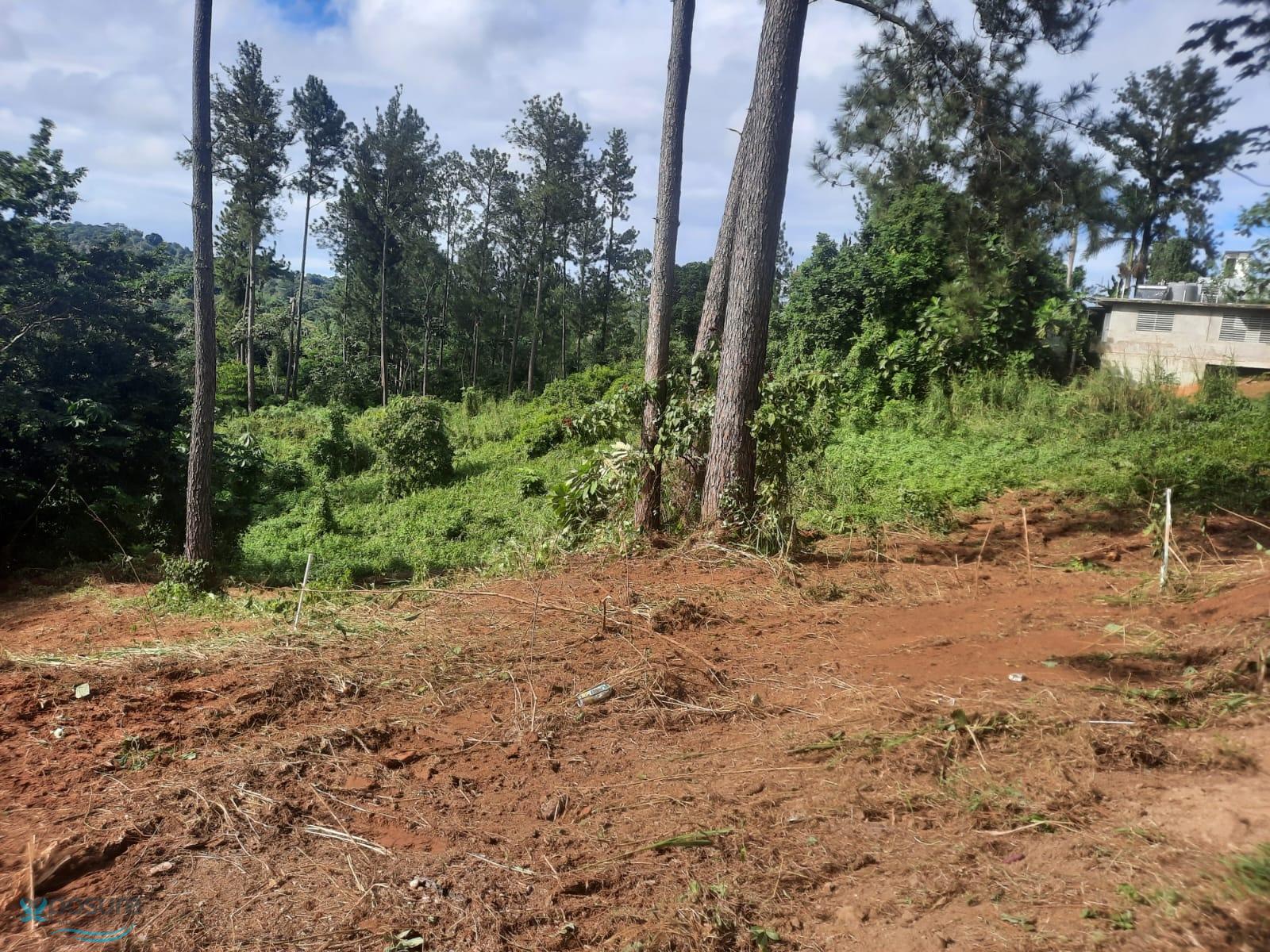 Terreno en Venta - Naranjo