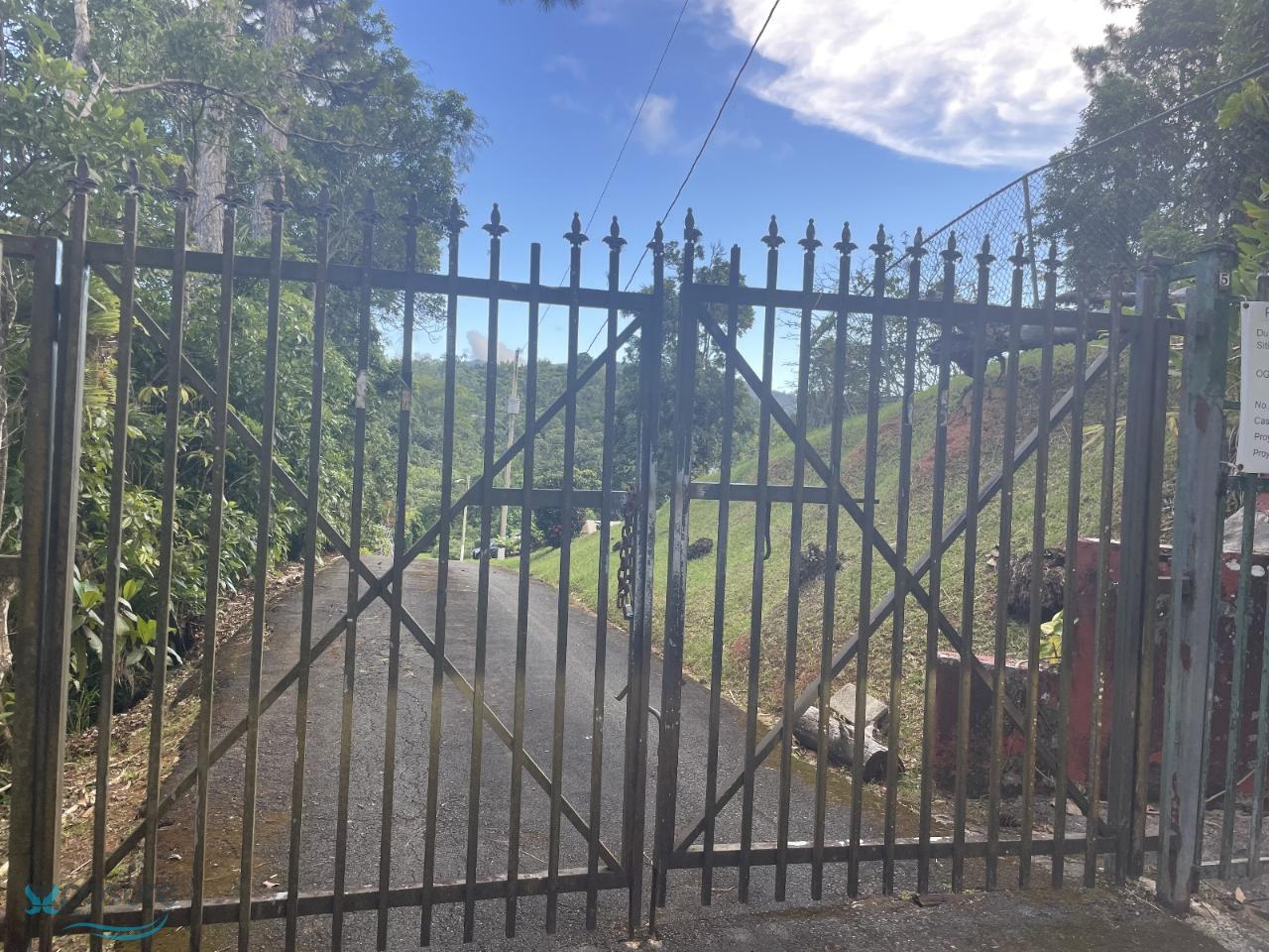 Terreno en Venta - Cayey