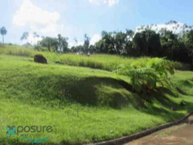 Terreno en Venta - Malezas