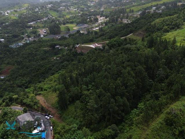 Terreno en Venta - Orocovis