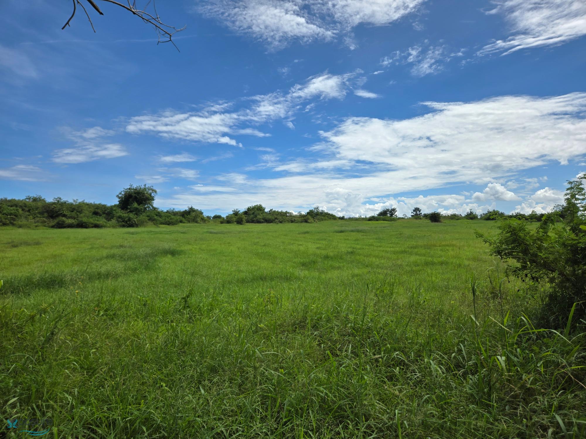 Terreno en Venta - Jobos