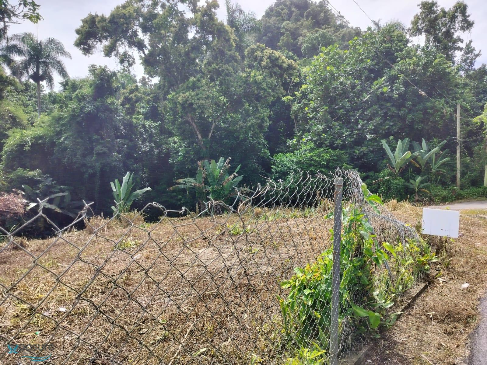 Terreno en Venta - Caguana