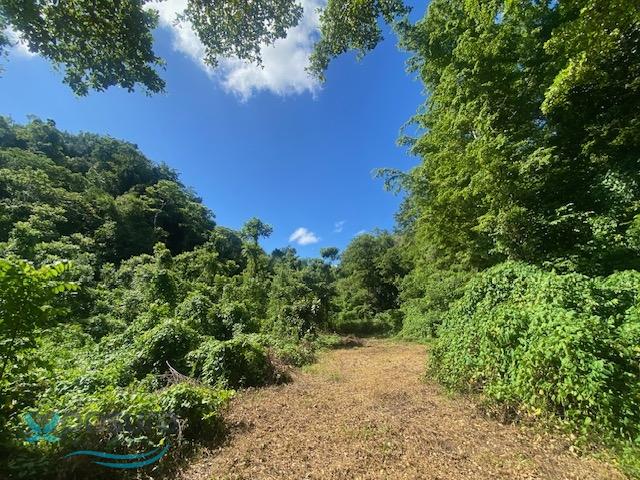 Terreno en Venta - Arecibo