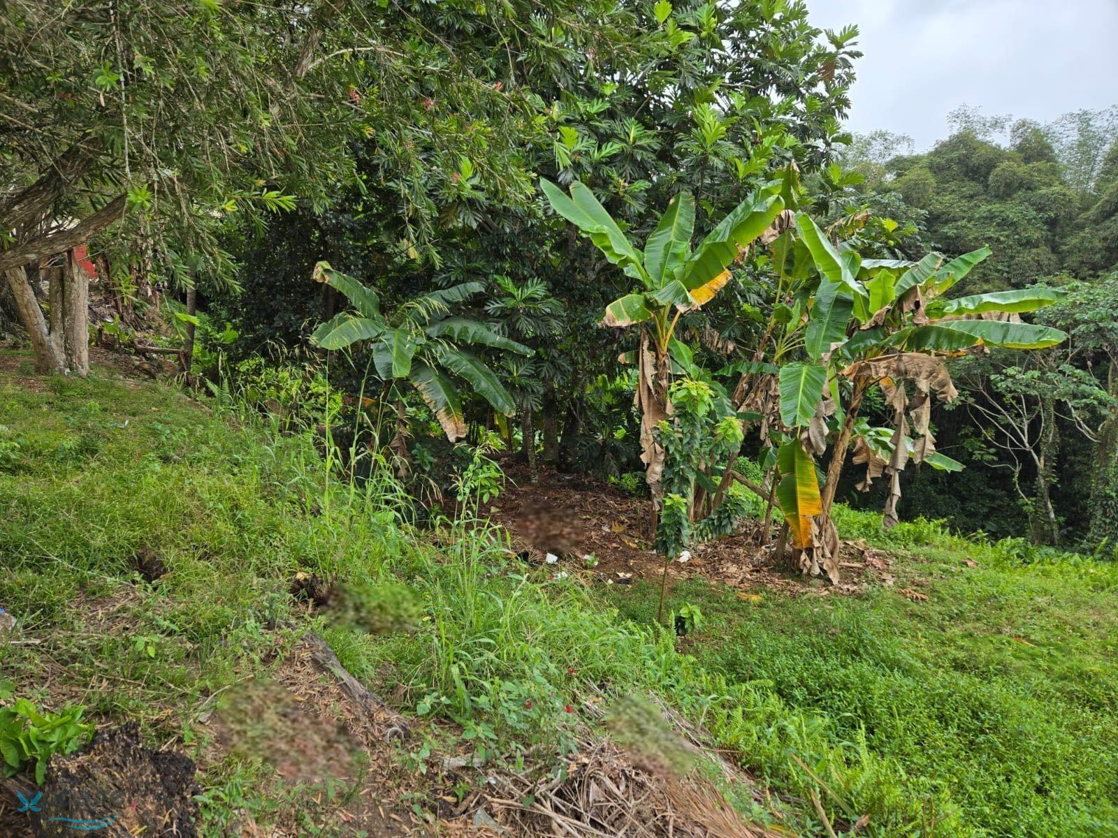 Terreno en Venta - Utuado