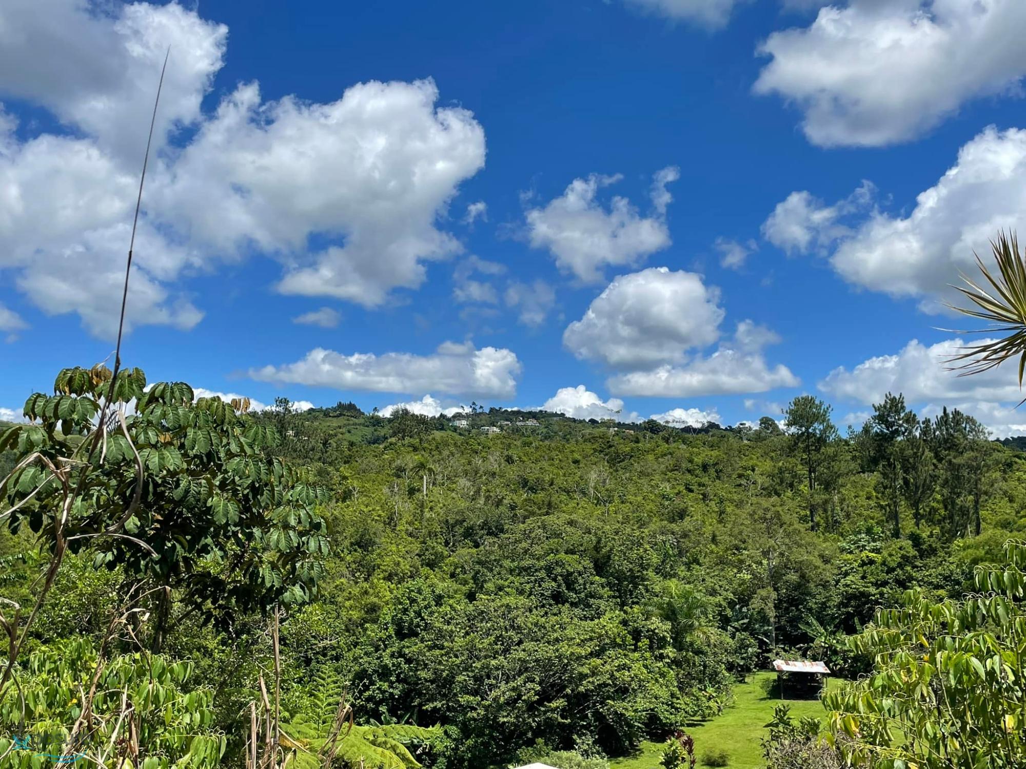 Terreno en Venta - Barranquitas