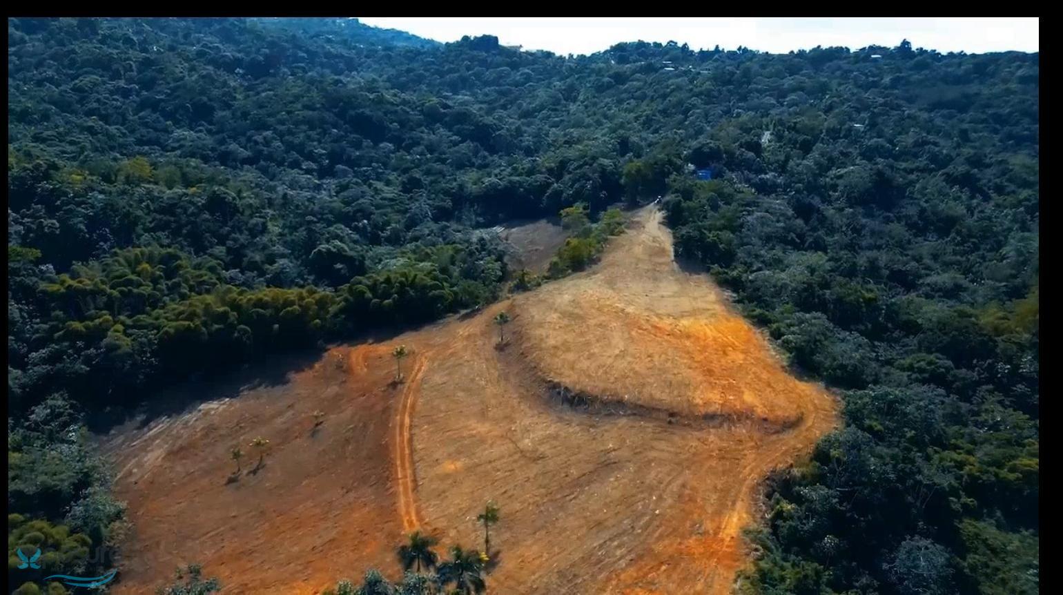 Terreno en Venta - Rincon