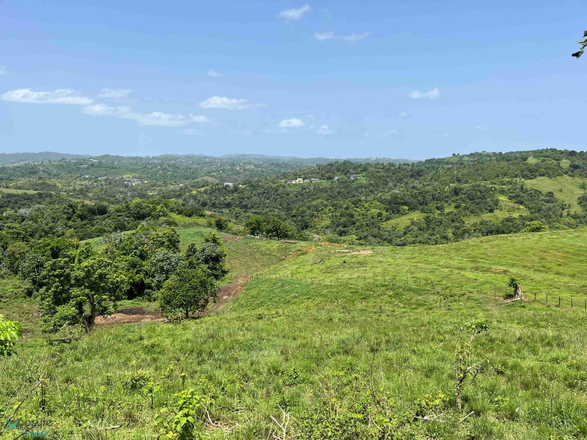 Terreno en Venta - Moca