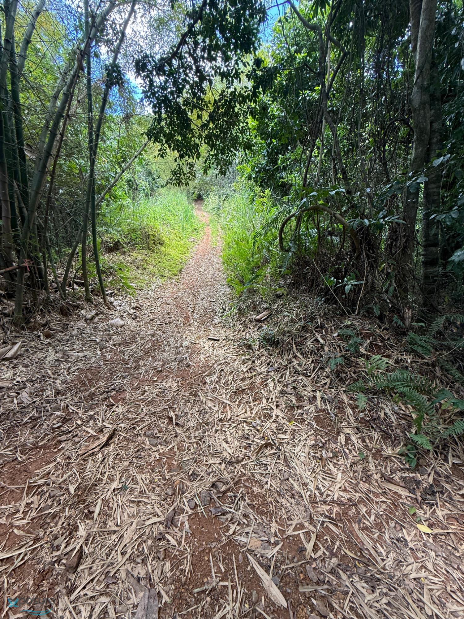 Terreno en Venta - Mayaguez