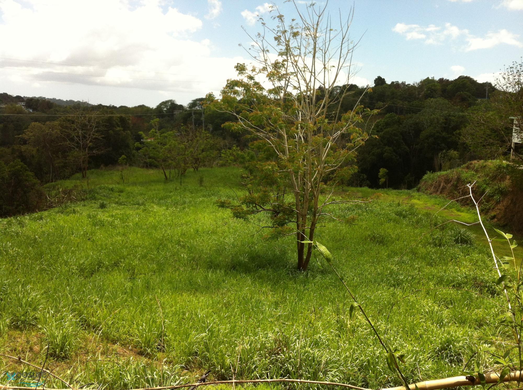 Terreno en Venta - Río Cañas Abajo