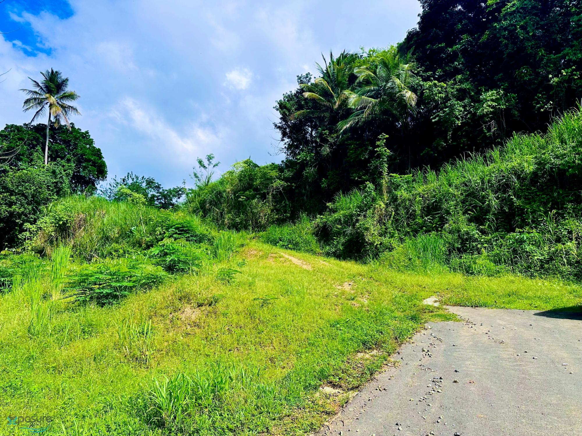 Terreno en Venta - Bayamón