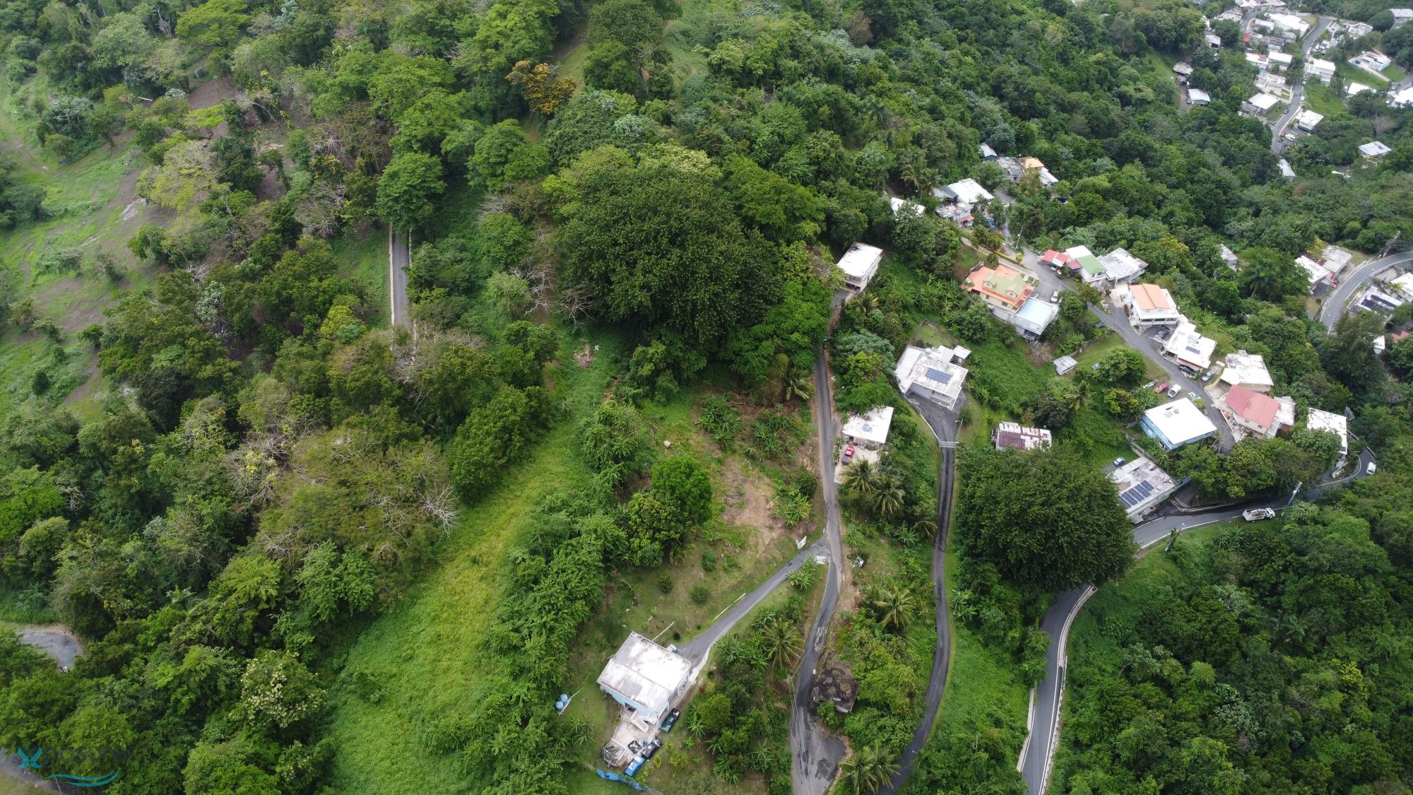 Terreno en Venta - Mamey