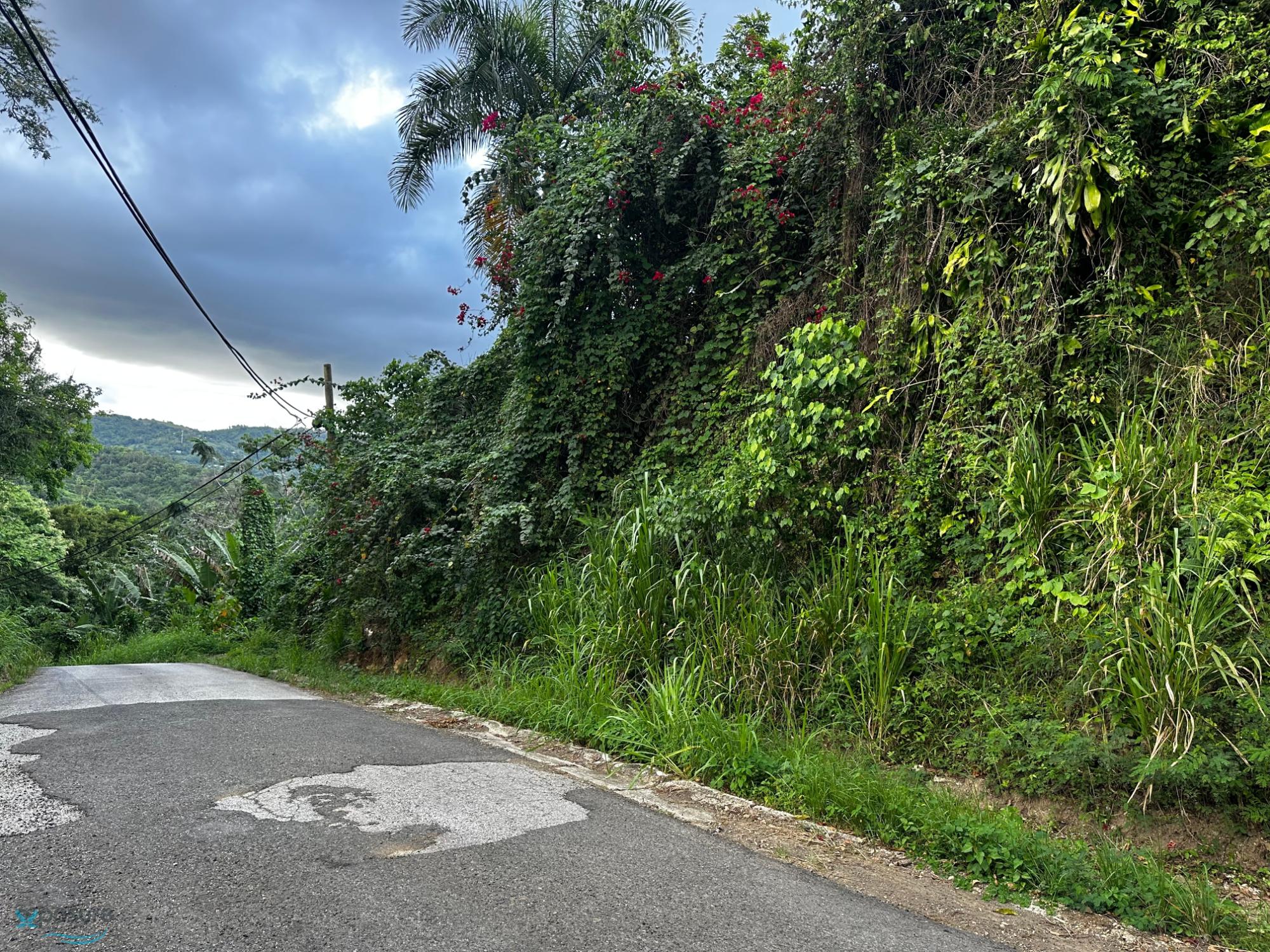 Terreno en Venta - Hormigueros