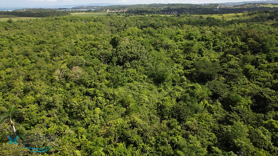 15.8 Int PR 102 - 00623 -  - Cabo Rojo