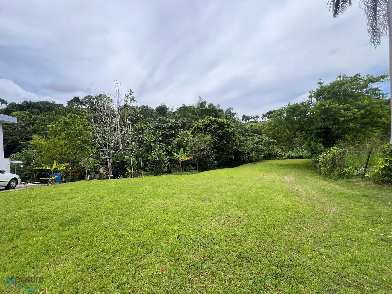 Terreno en Venta - Lares