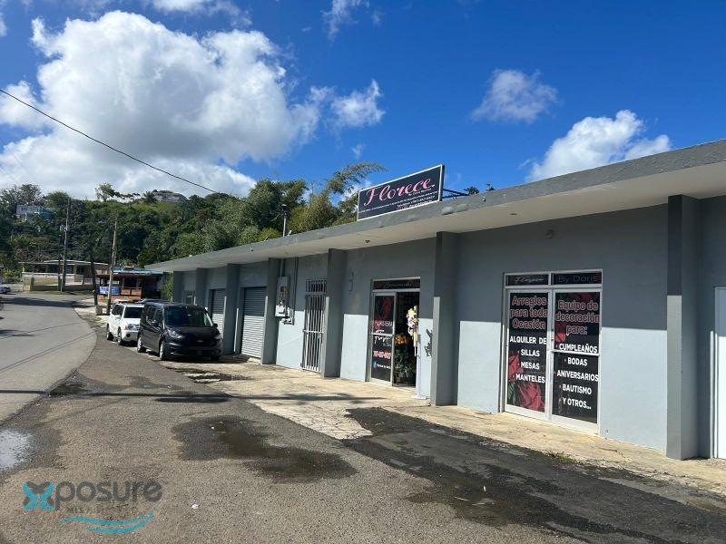 Residencia en Venta - Barranquitas
