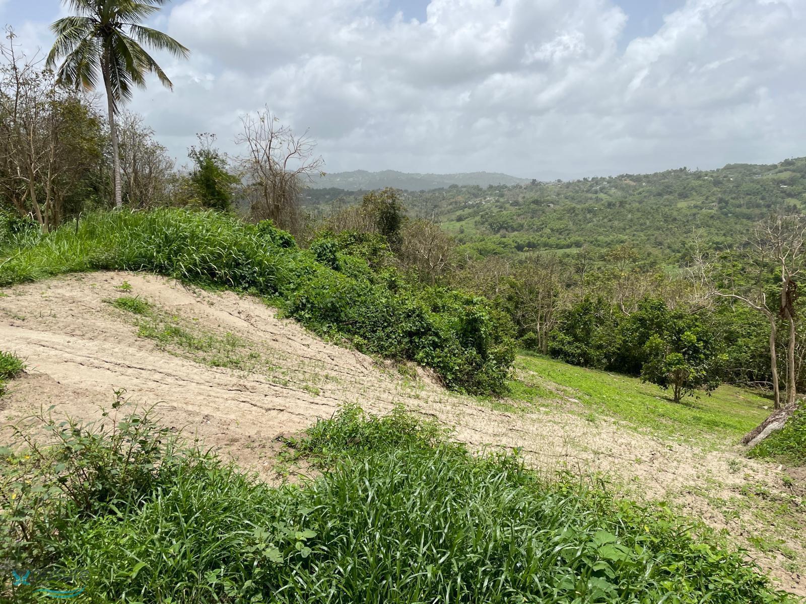 Terreno en Venta - Juncos