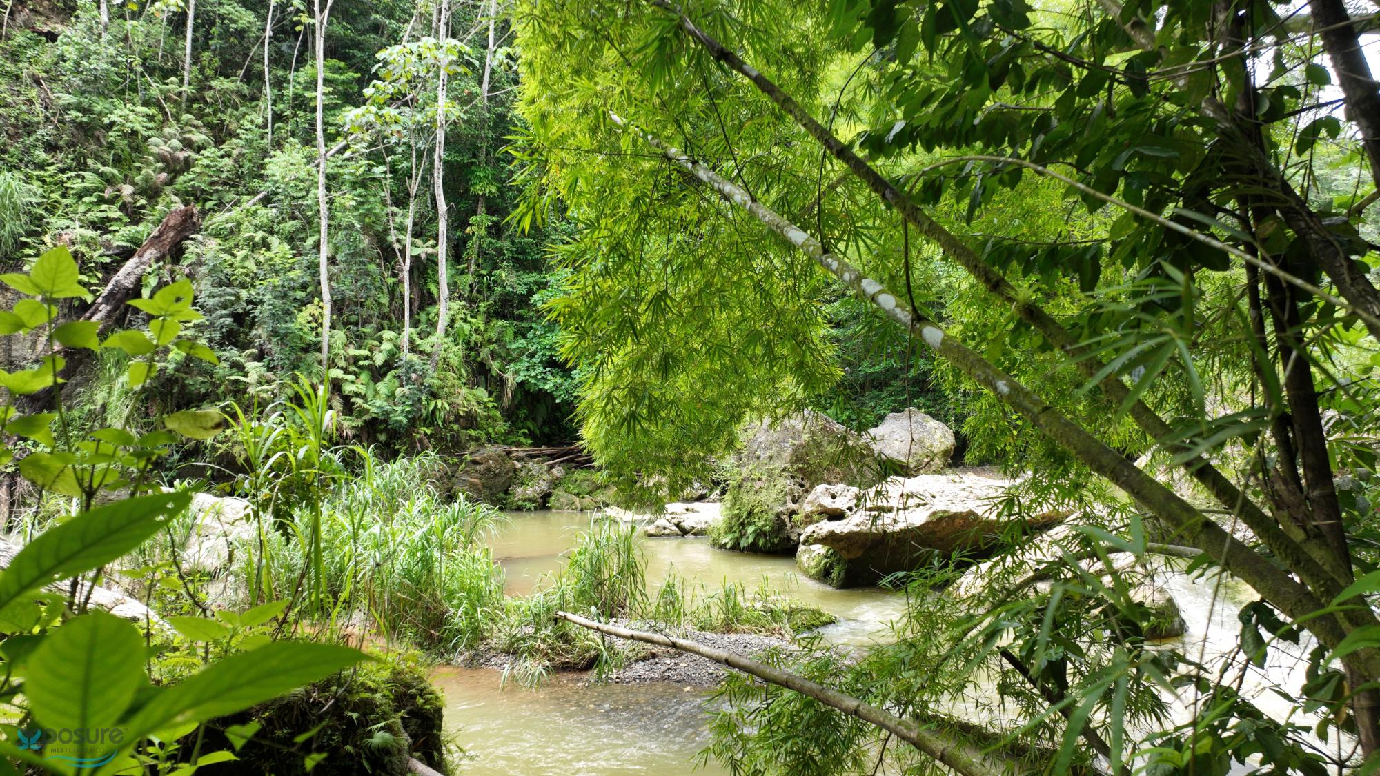 Terreno en Venta - Caguana