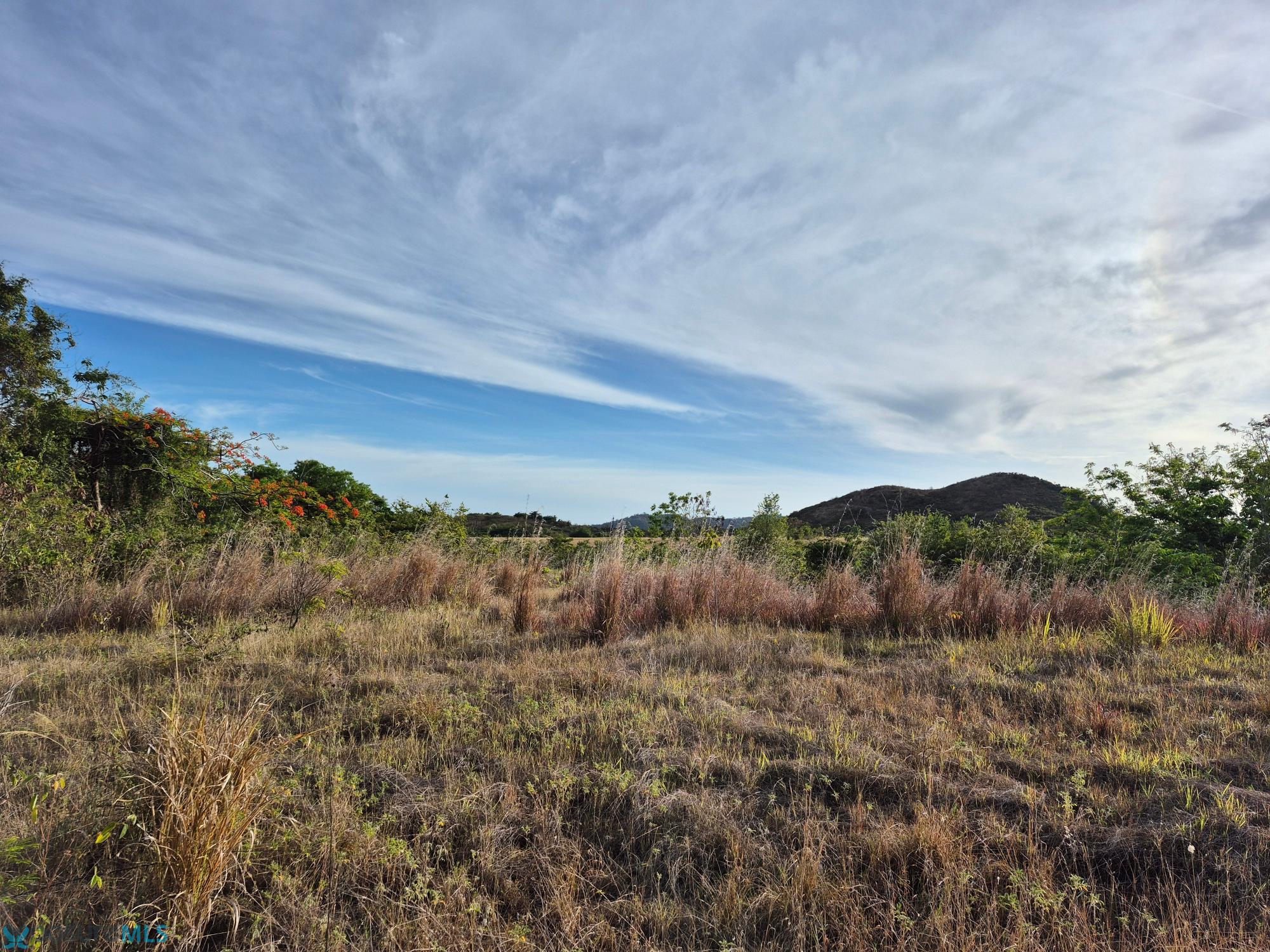 Terreno en Venta - Coamo