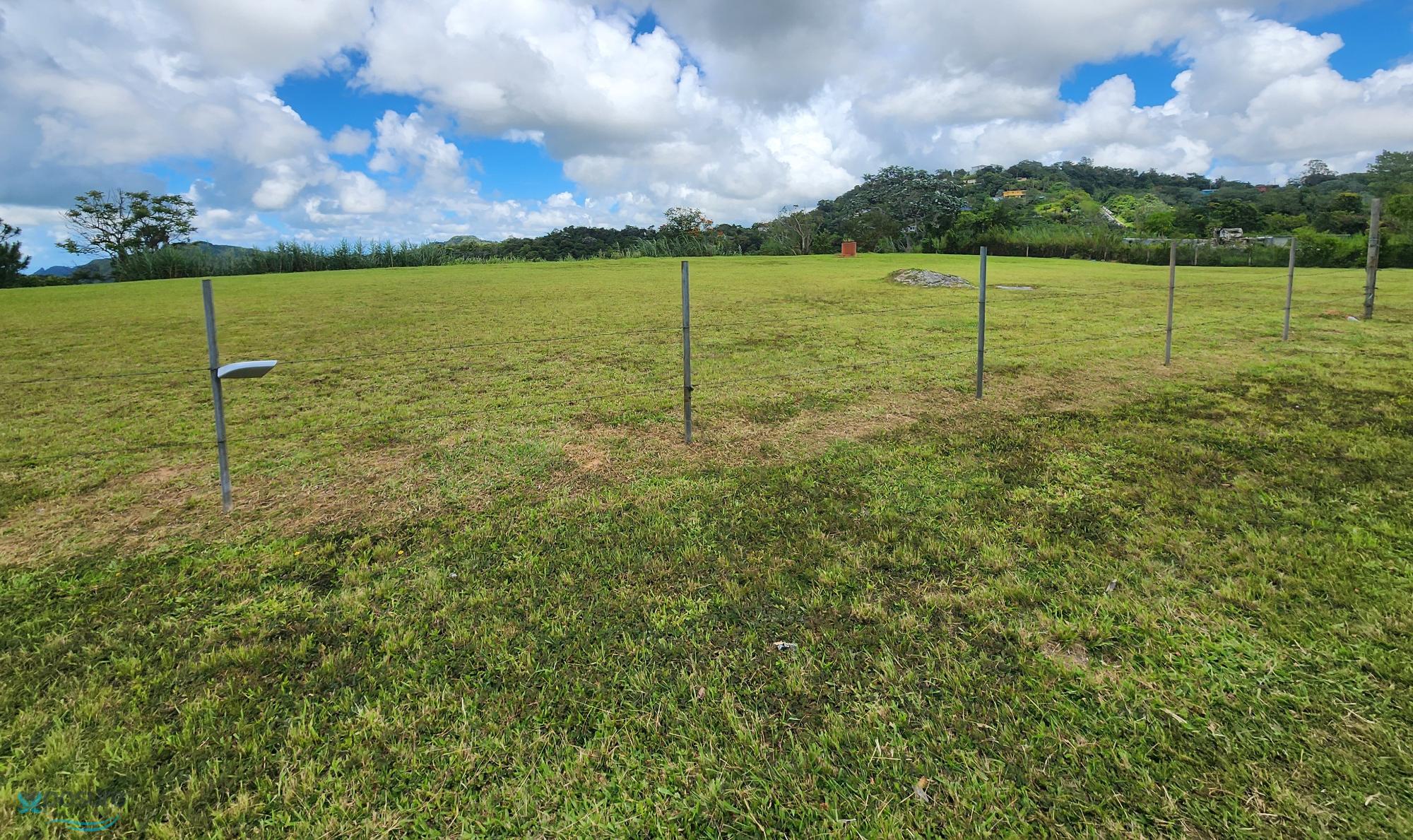 Terreno en Venta - Aibonito
