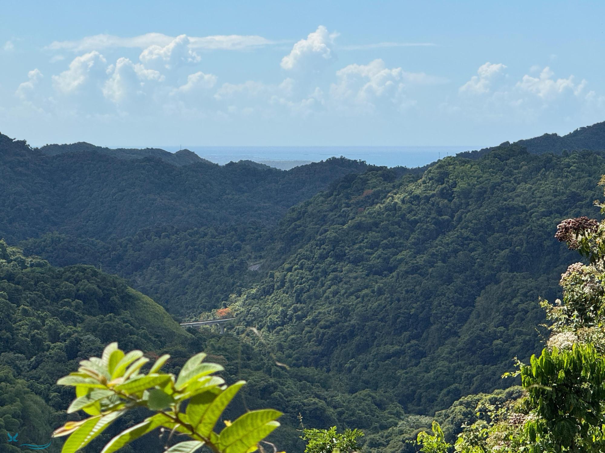 Terreno en Venta - Ponce