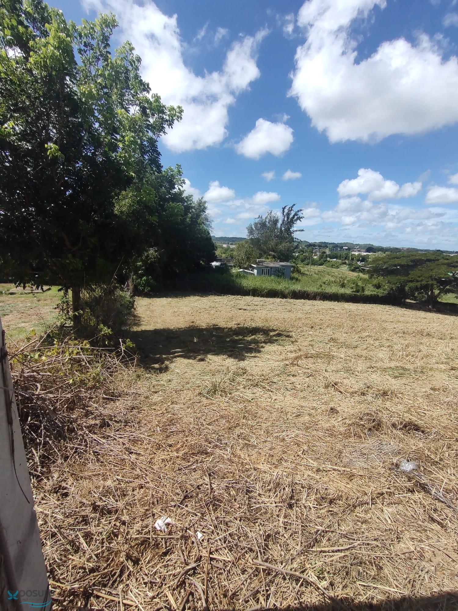 1 DESVIO DE 4494 - 00662 -  - Isabela