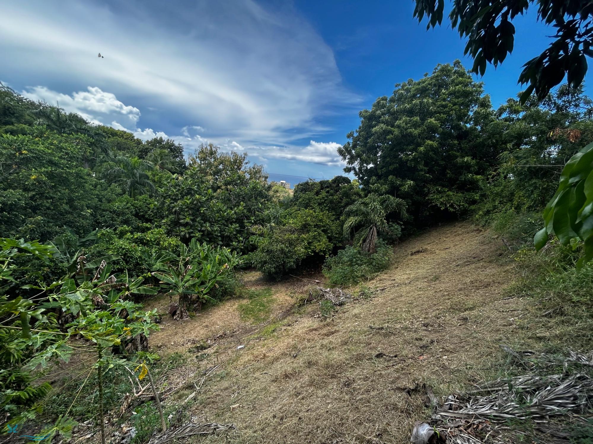 Terreno en Venta - Rincon