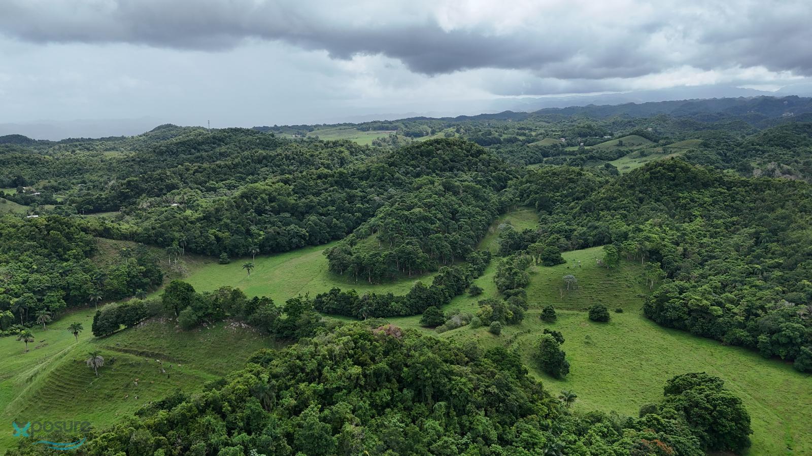 Terreno en Venta - Manatí