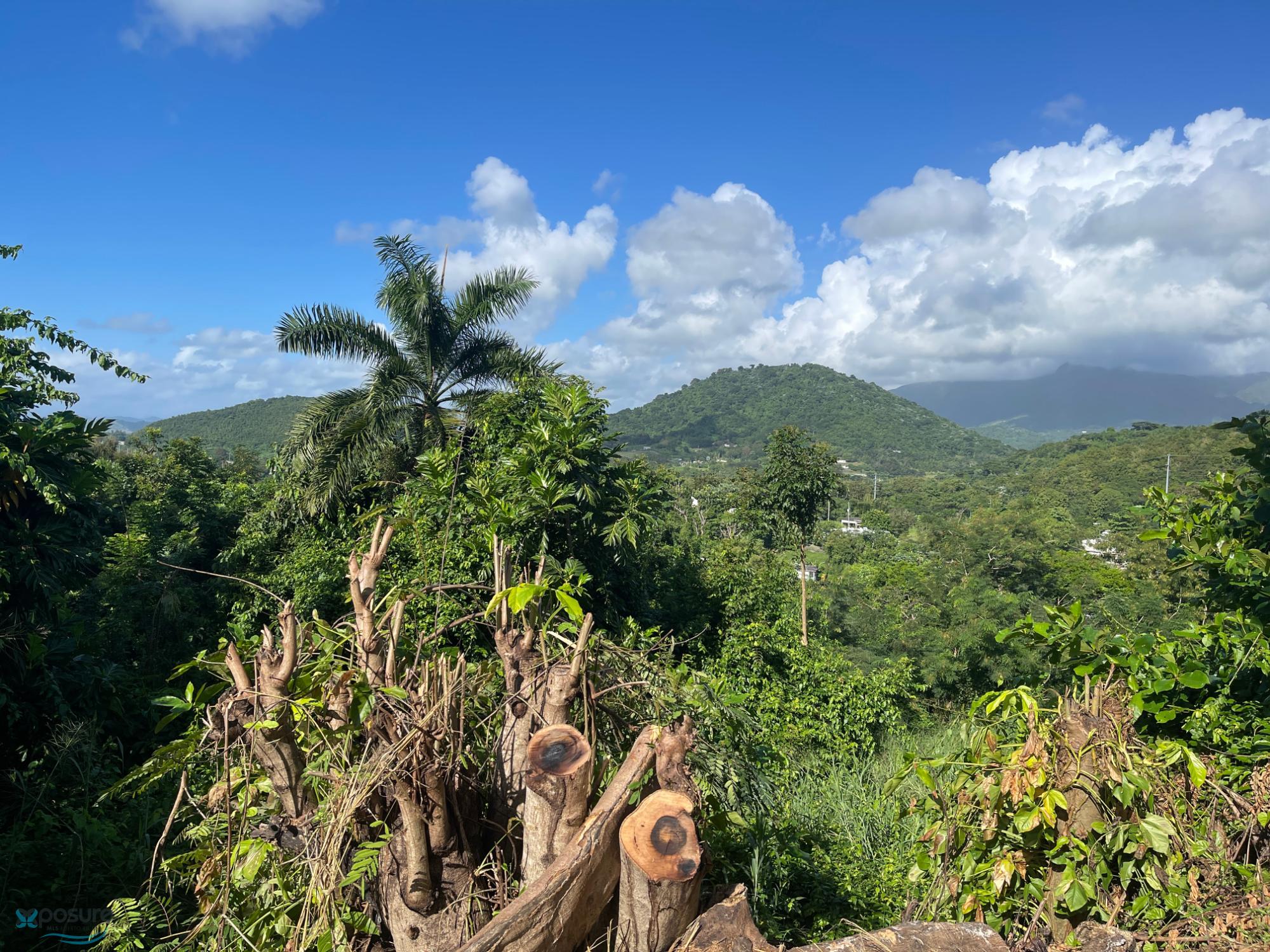 Terreno en Venta - Naguabo
