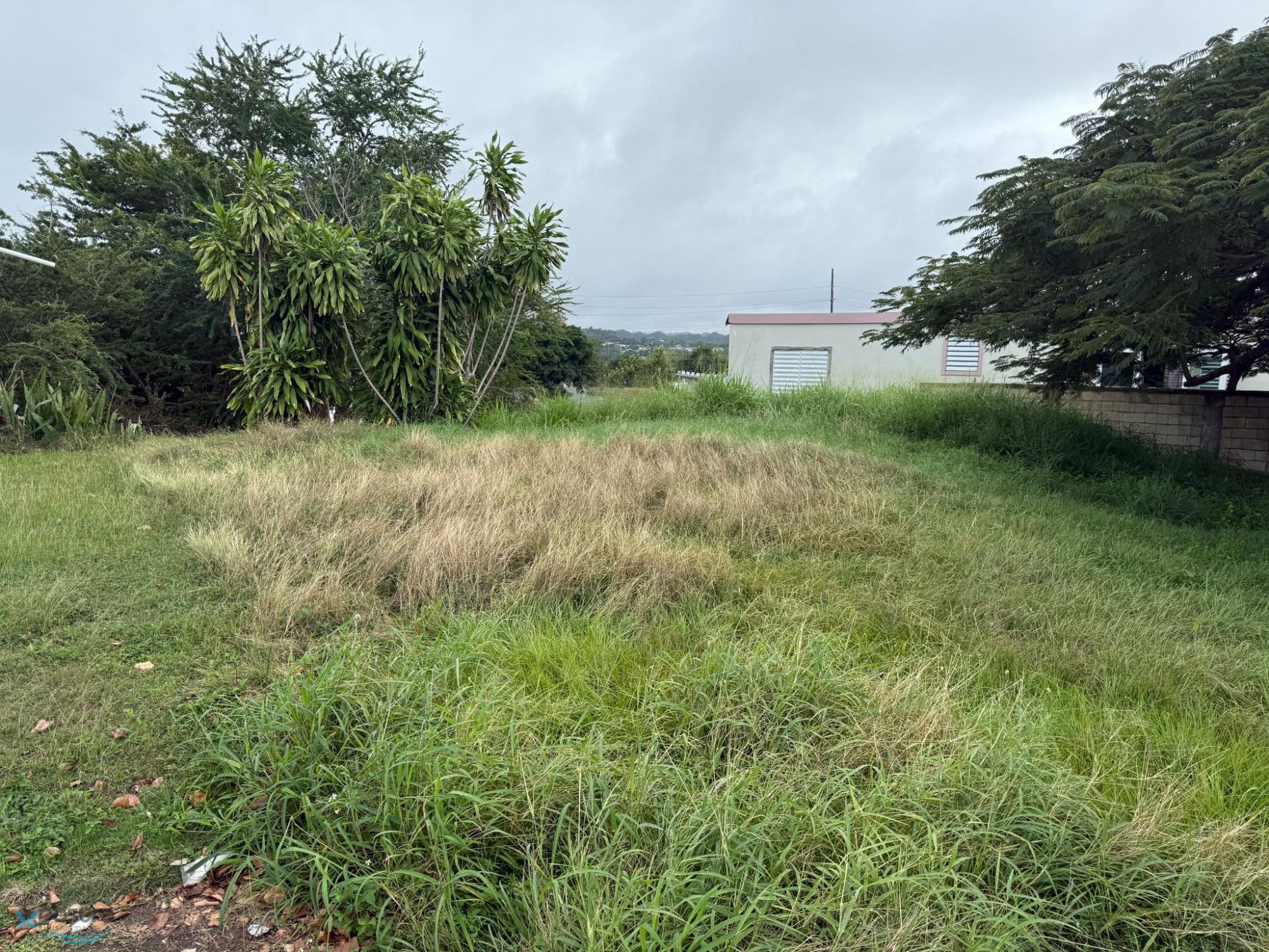 Terreno en Venta - Arecibo