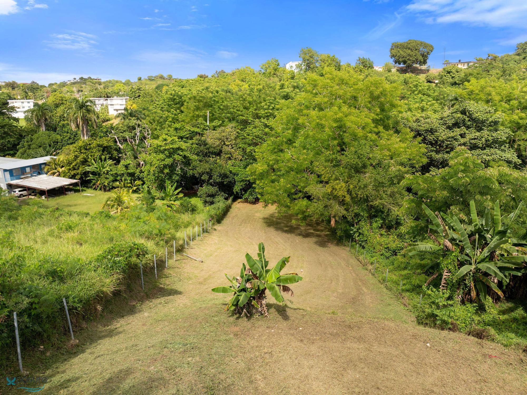Terreno en Venta - Rincon
