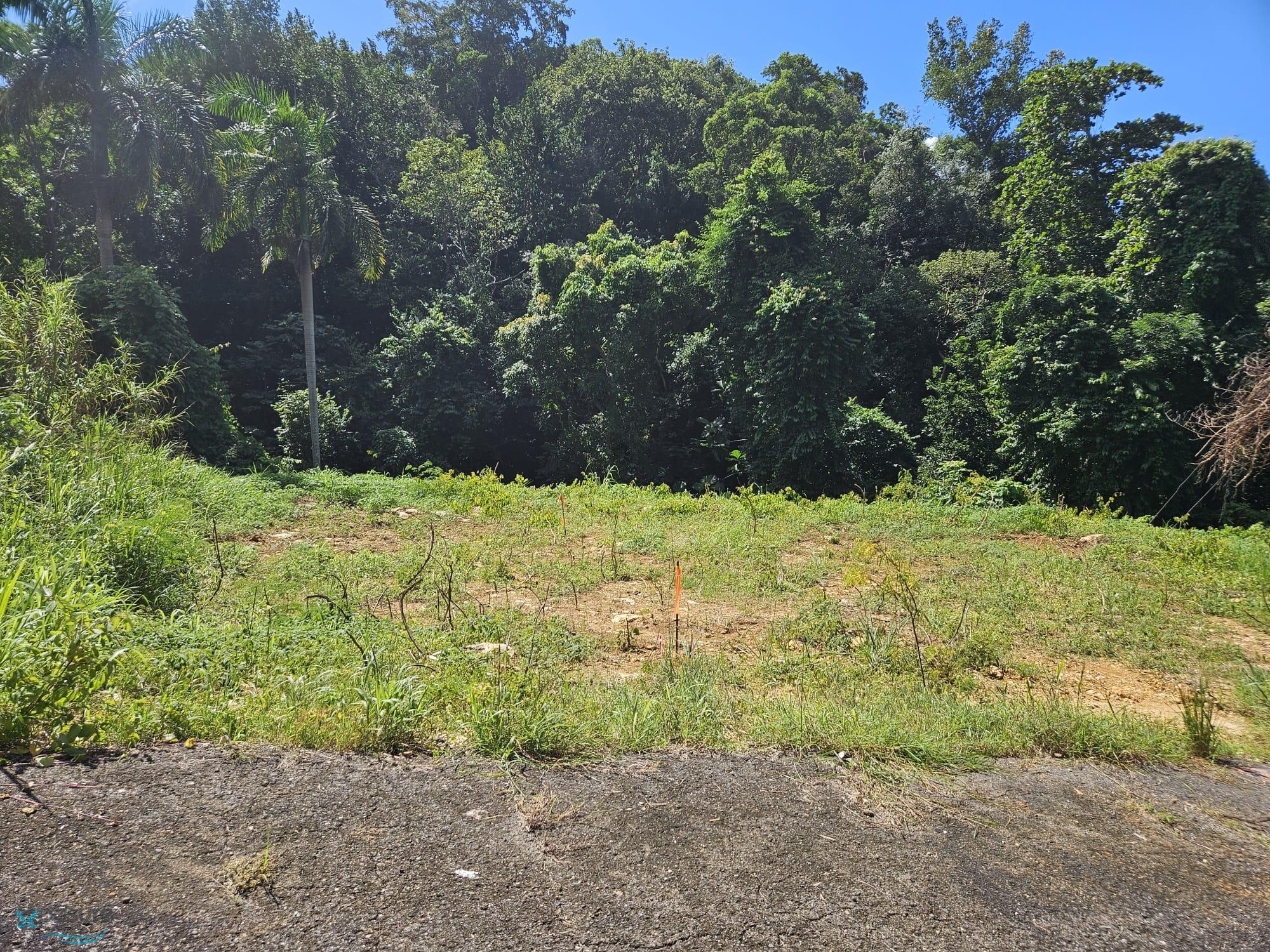 Terreno en Venta - Aguadilla