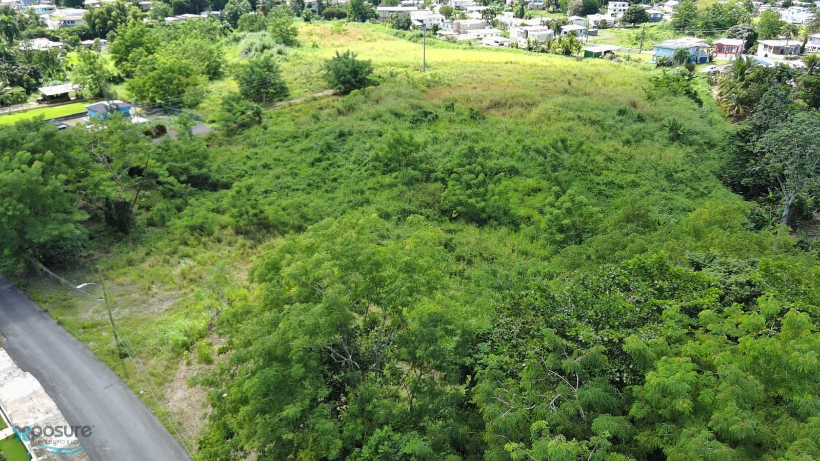 Terreno en Venta - Añasco