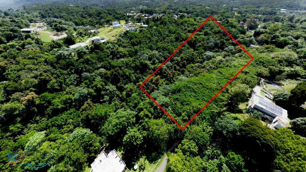Terreno en Venta - Lares