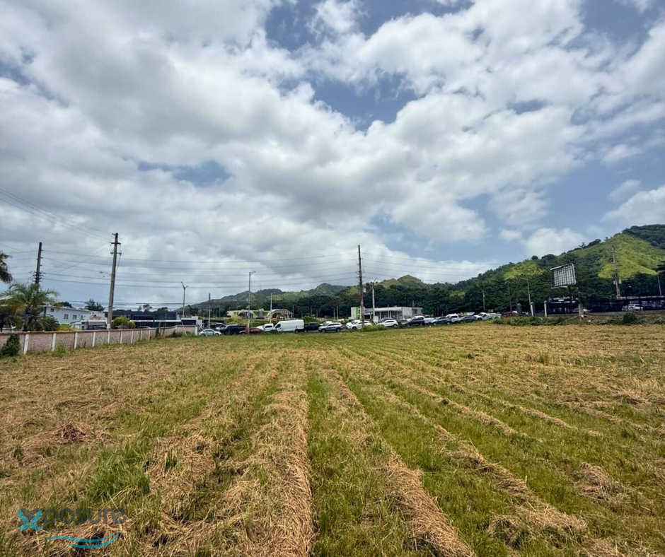 Terreno en Venta - Añasco