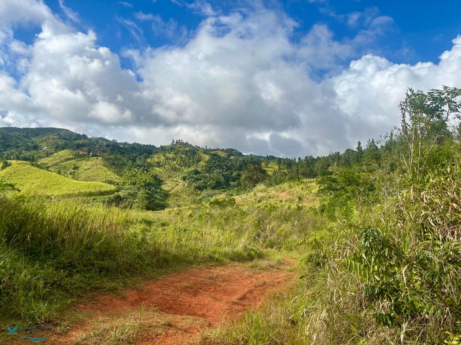 Terreno en Venta - Orocovis