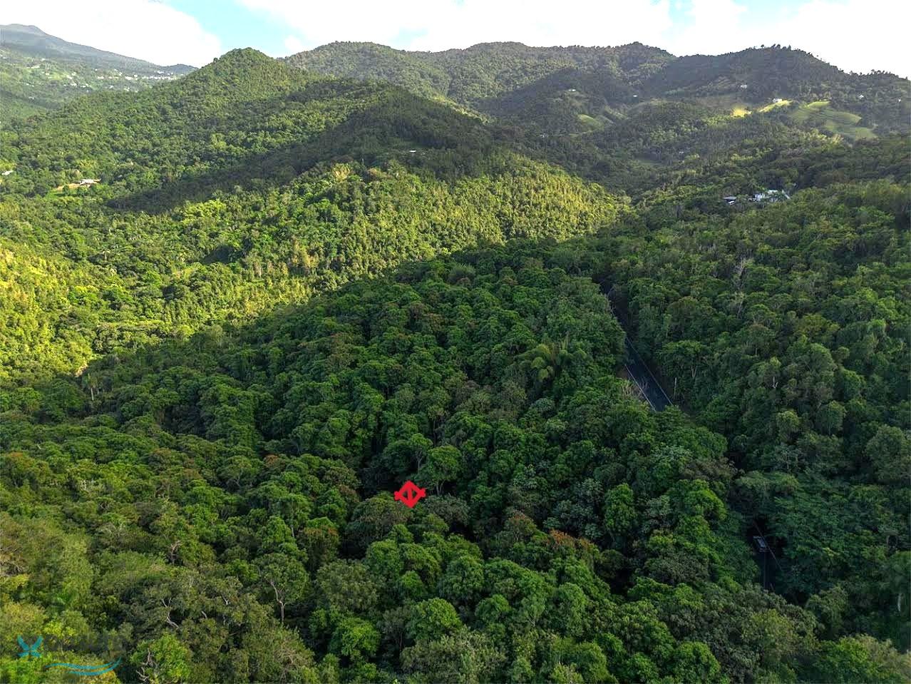Terreno en Venta - Carolina